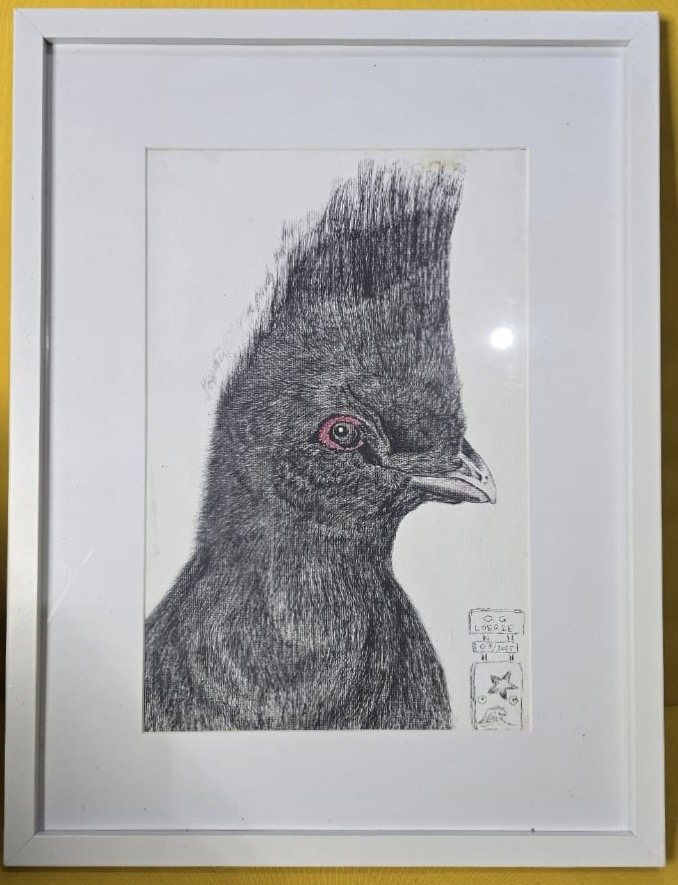 O.G. Loerie — Odwa Isedwebi, ballpoint on canvas, 07/2025